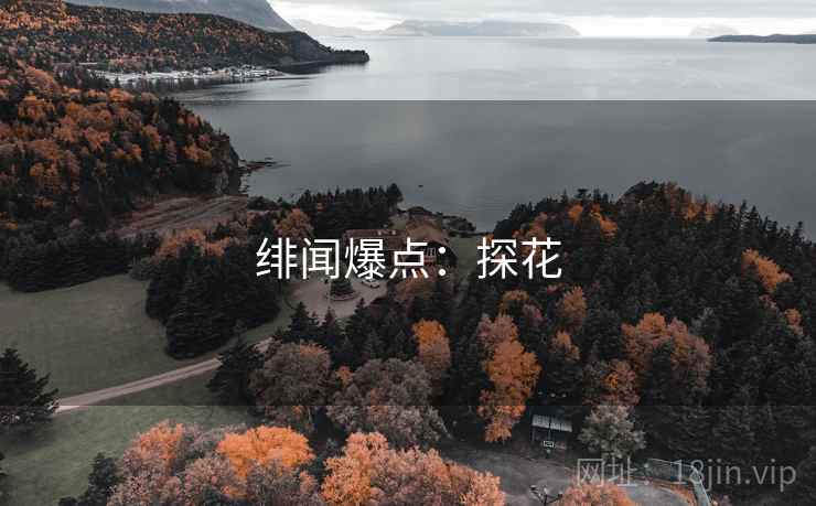 绯闻爆点：探花