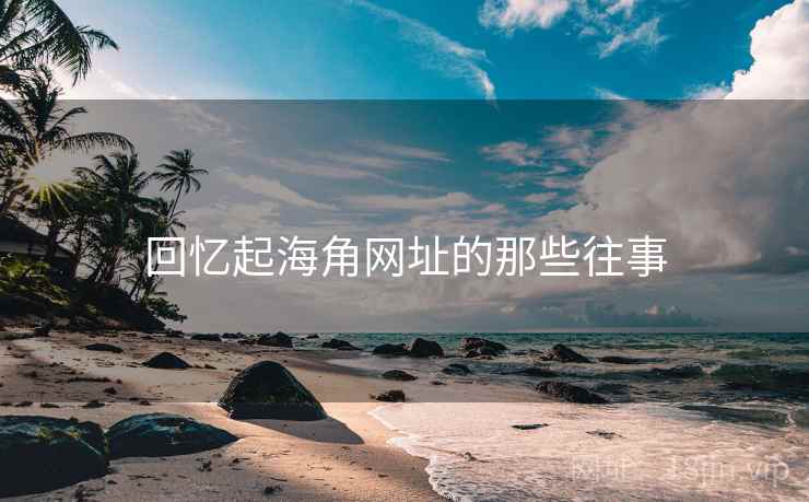 回忆起海角网址的那些往事